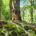 bootsdiscgolf