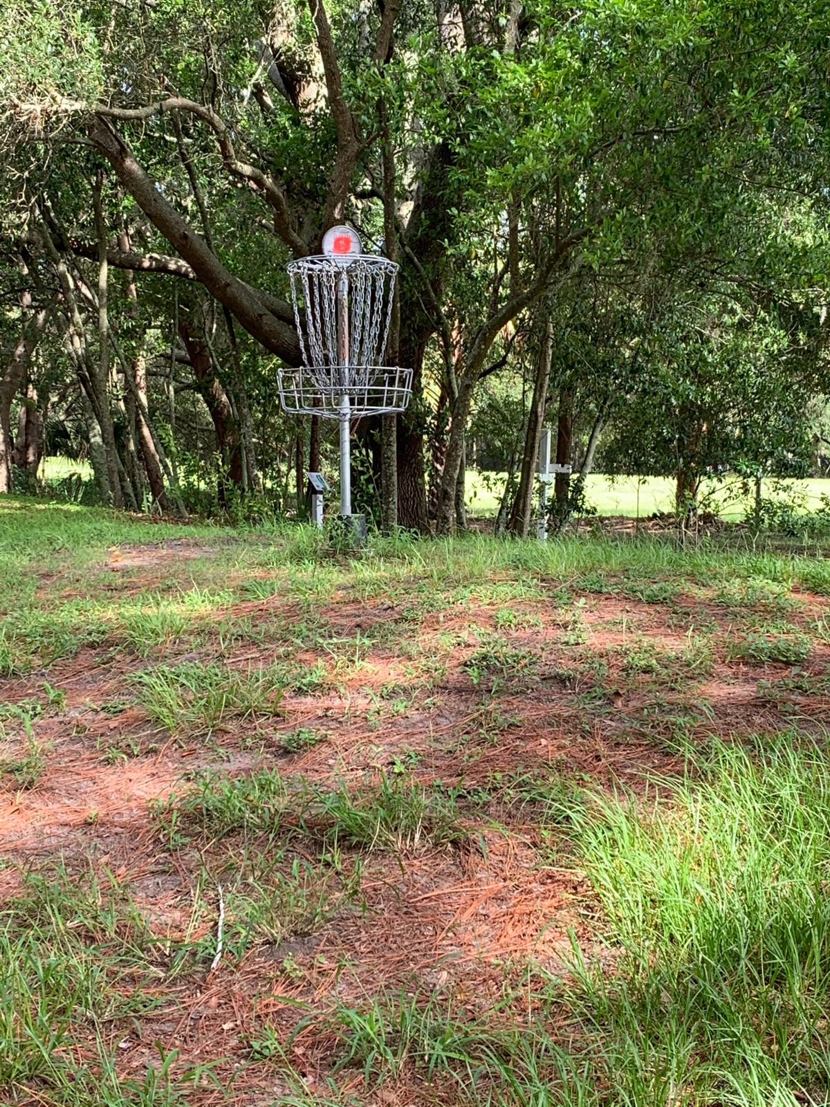 Hole 8 Basket