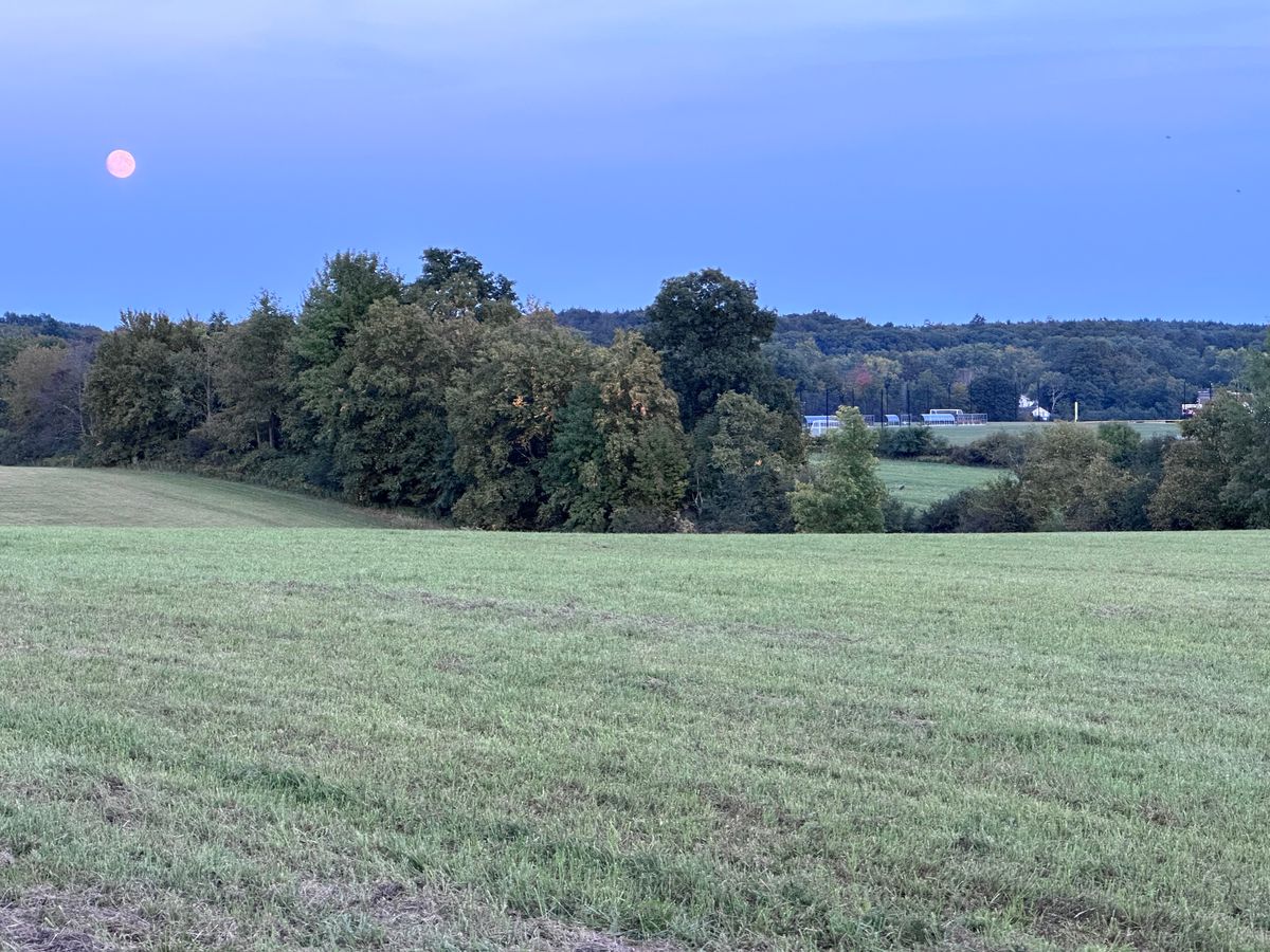 Looking out over the fields.
