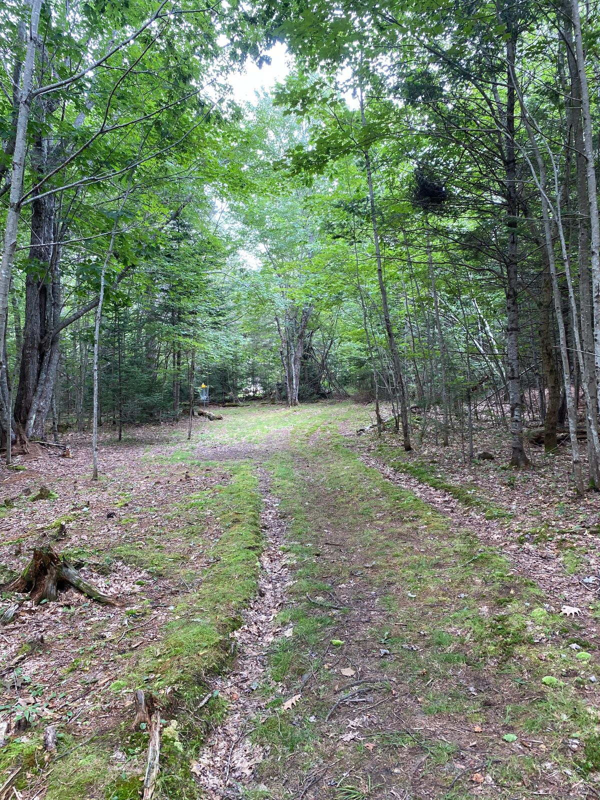 Hole 9 green
