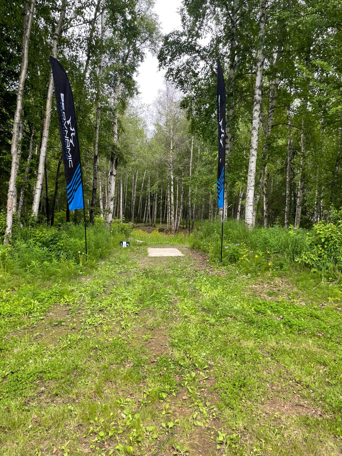 Hole 1, long tee pad