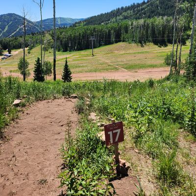 Hole 16