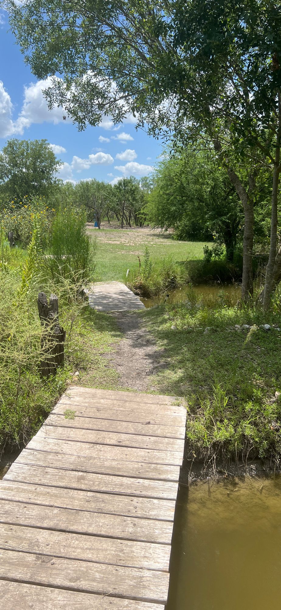 Hole 5. Short with water hazards teasing you. 