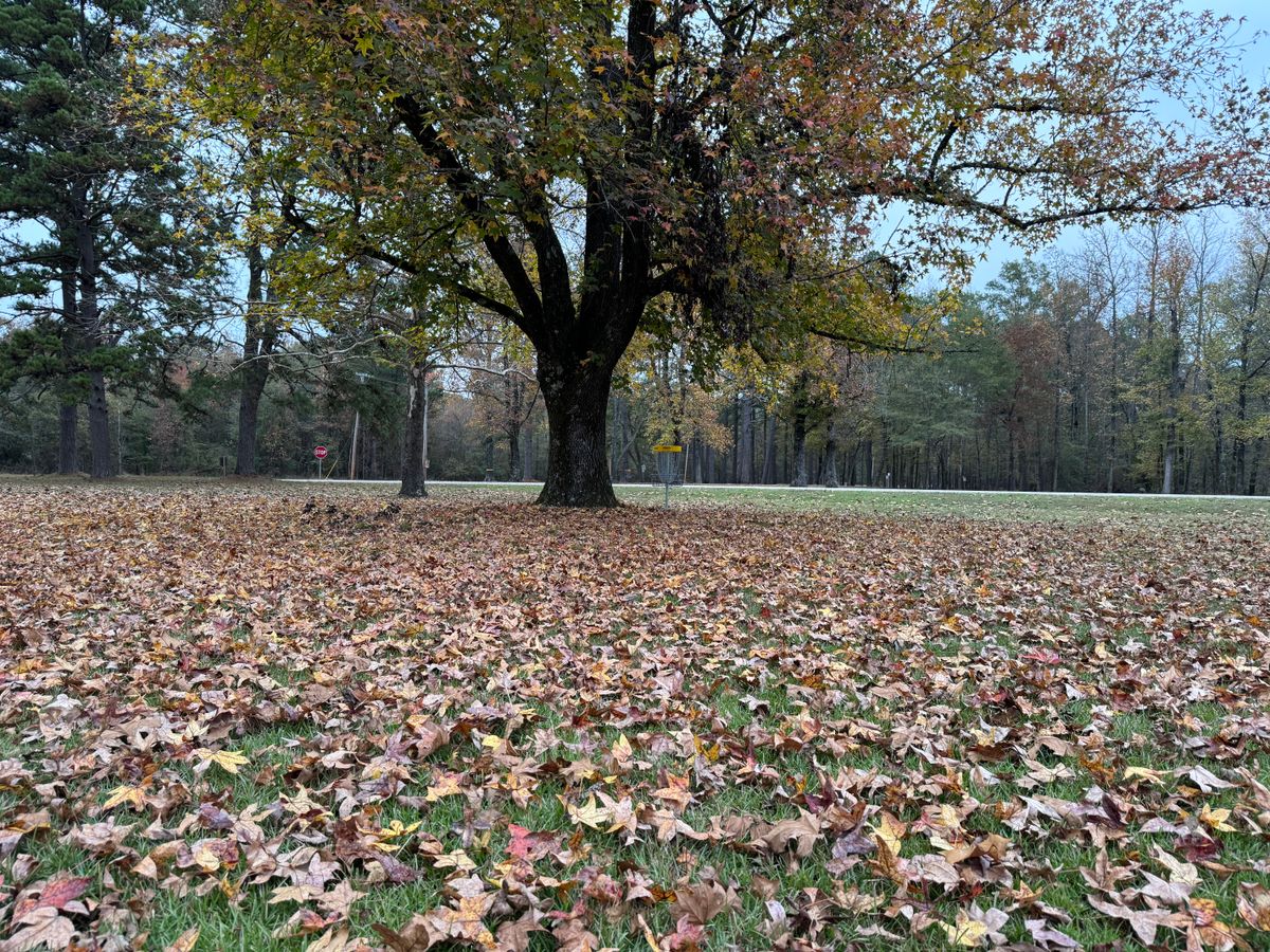 Hole 5 Long
