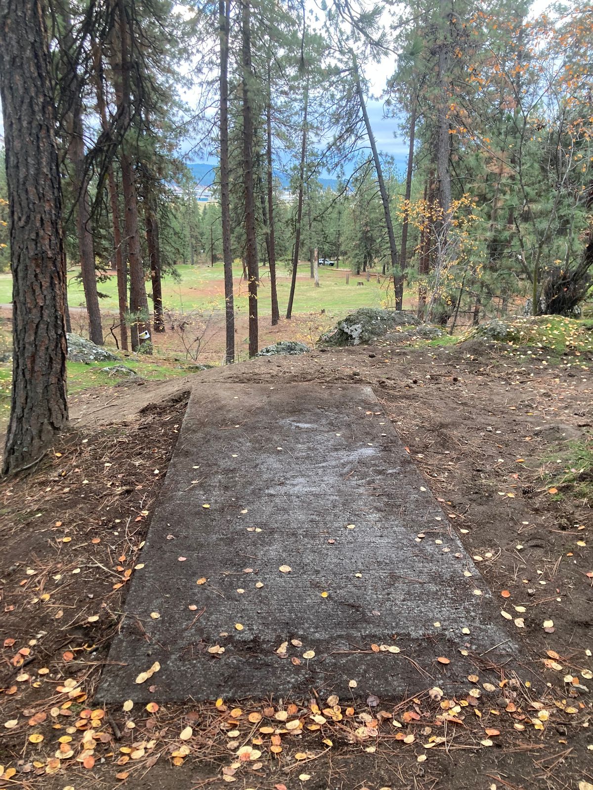Hole 20 tee pad and fairway