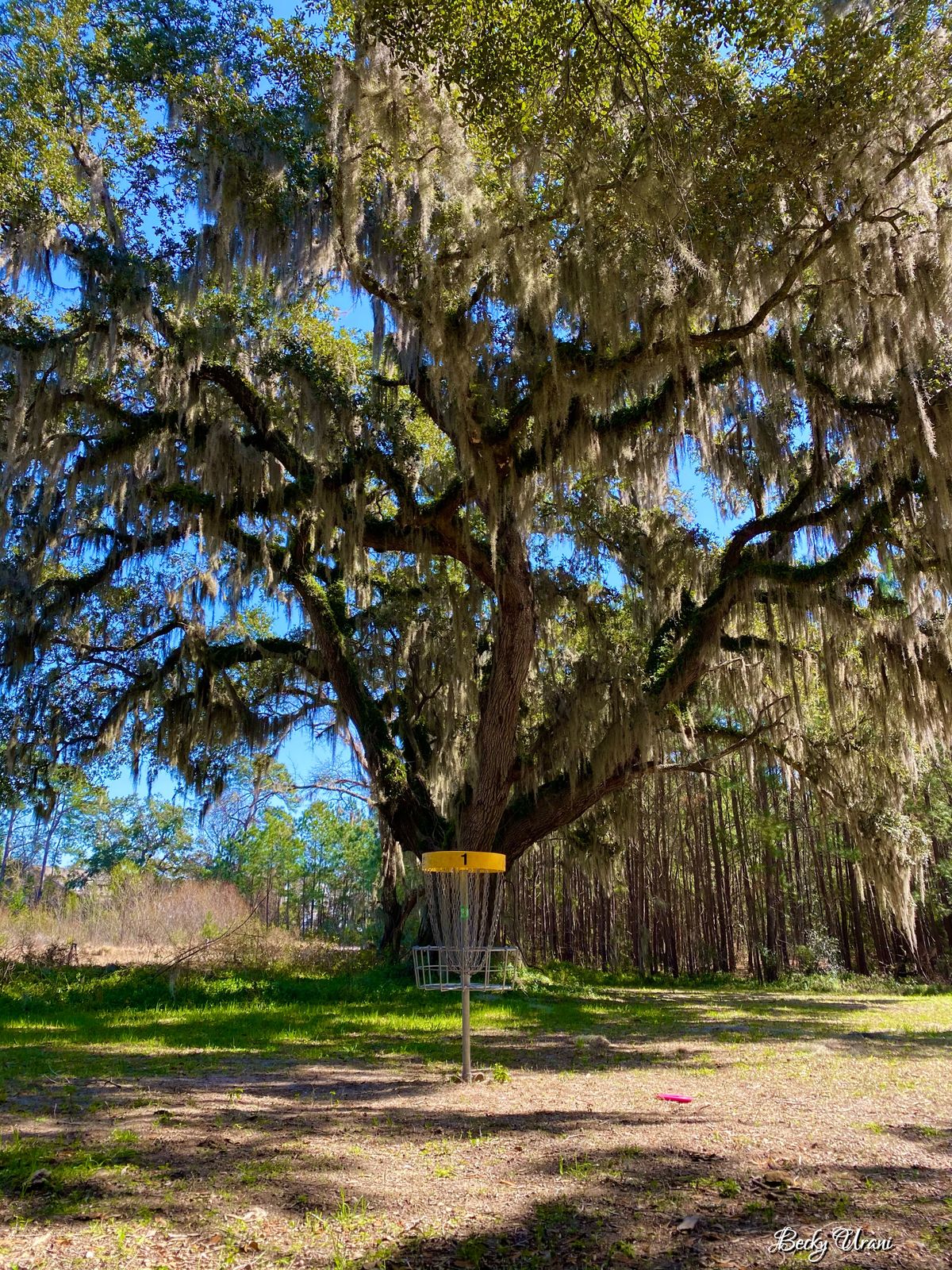 Beautiful hole 1