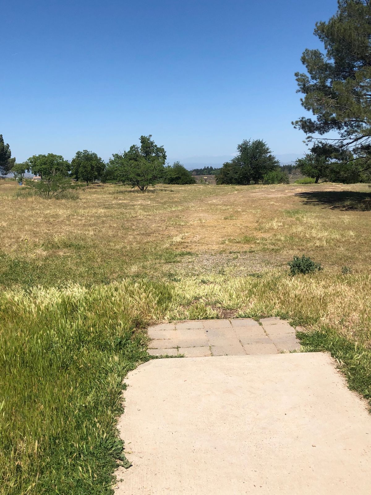 Hole 4 A position Tee to basket