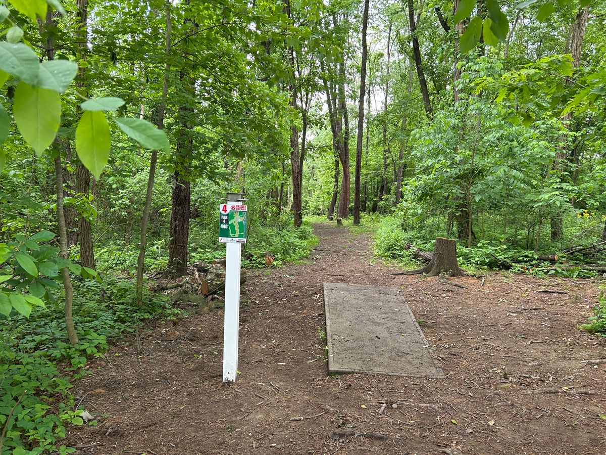 Hole 4 tee