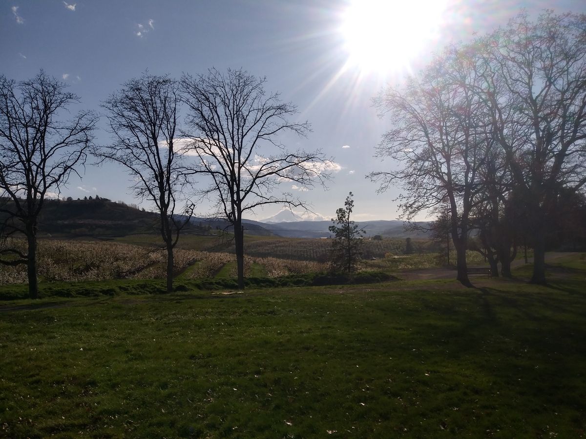 Front half has a view thats just stellar. Orchards and cascade range then back the gorge... Wow!