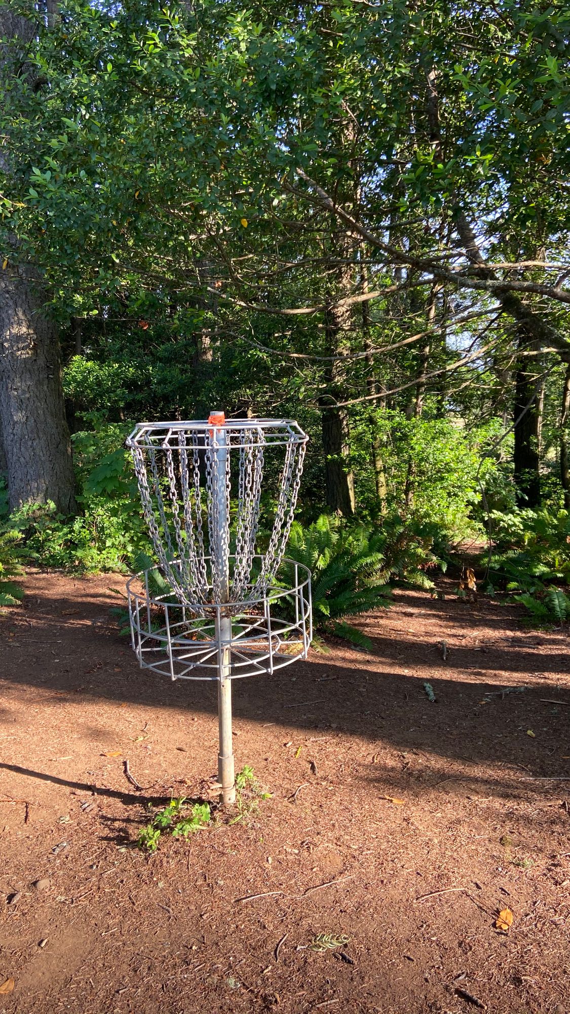 Beautiful pin area