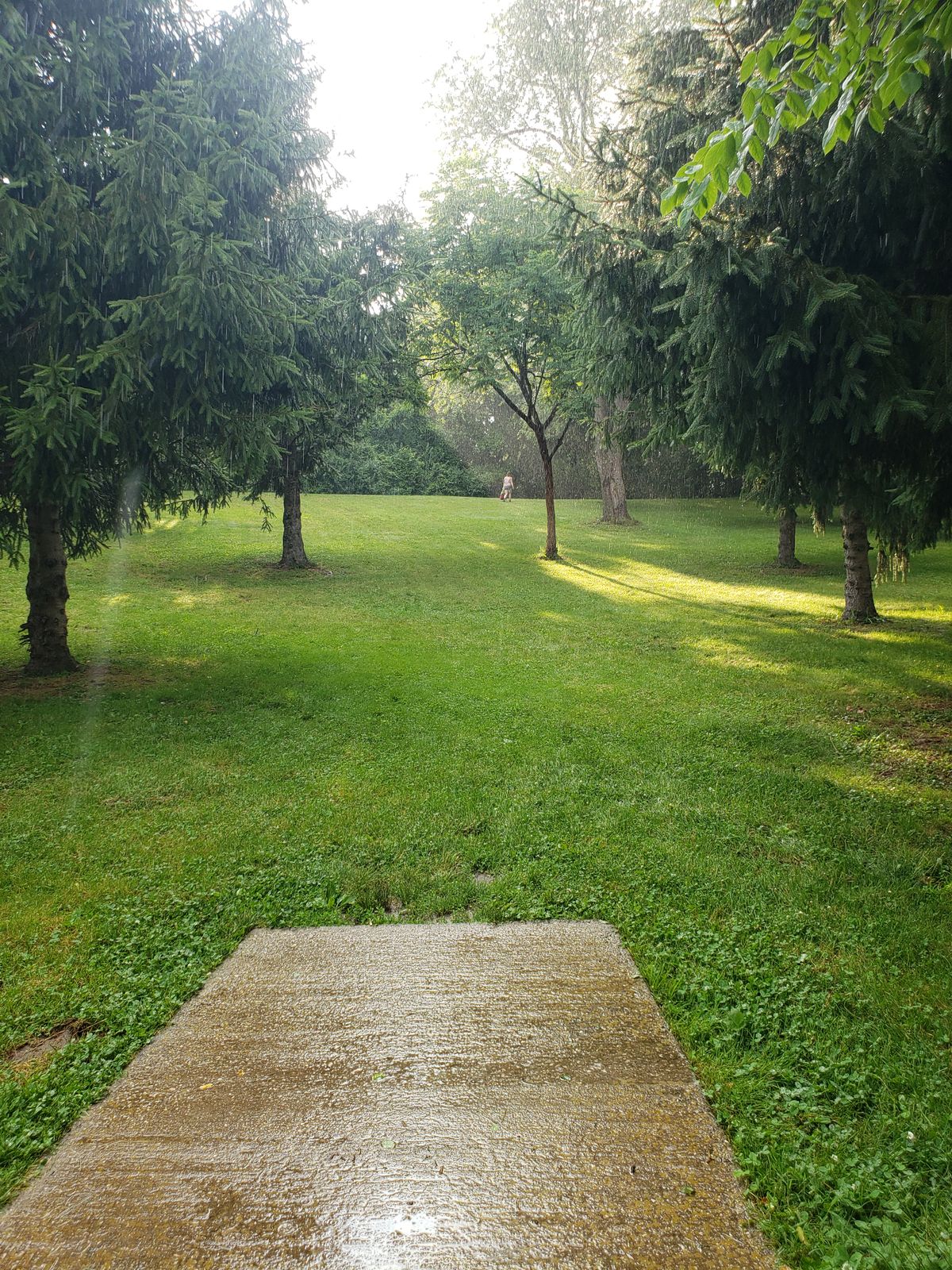 Hole 3 short teepad