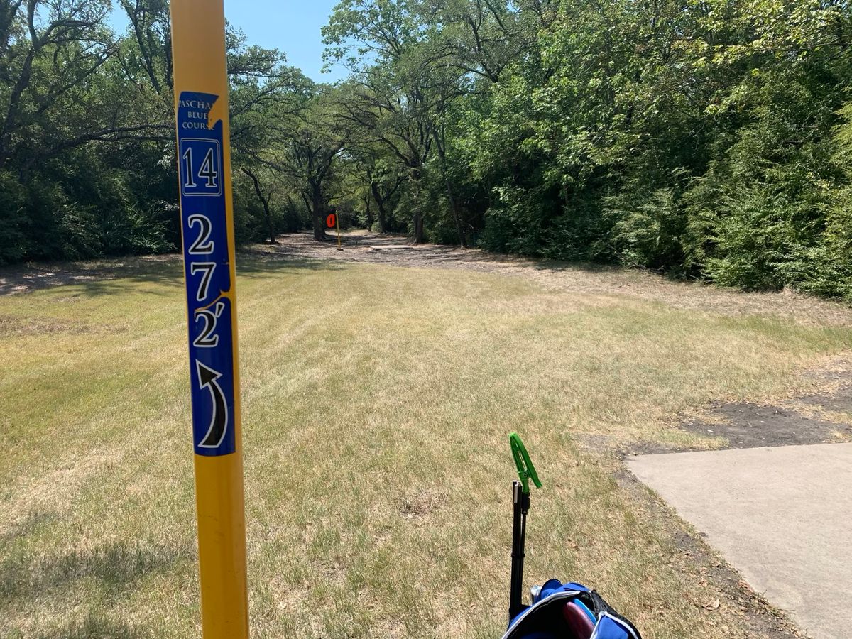 Hole 14. Blue Tee. 277 Feet. Straight ahead. Basket slightly to the left.