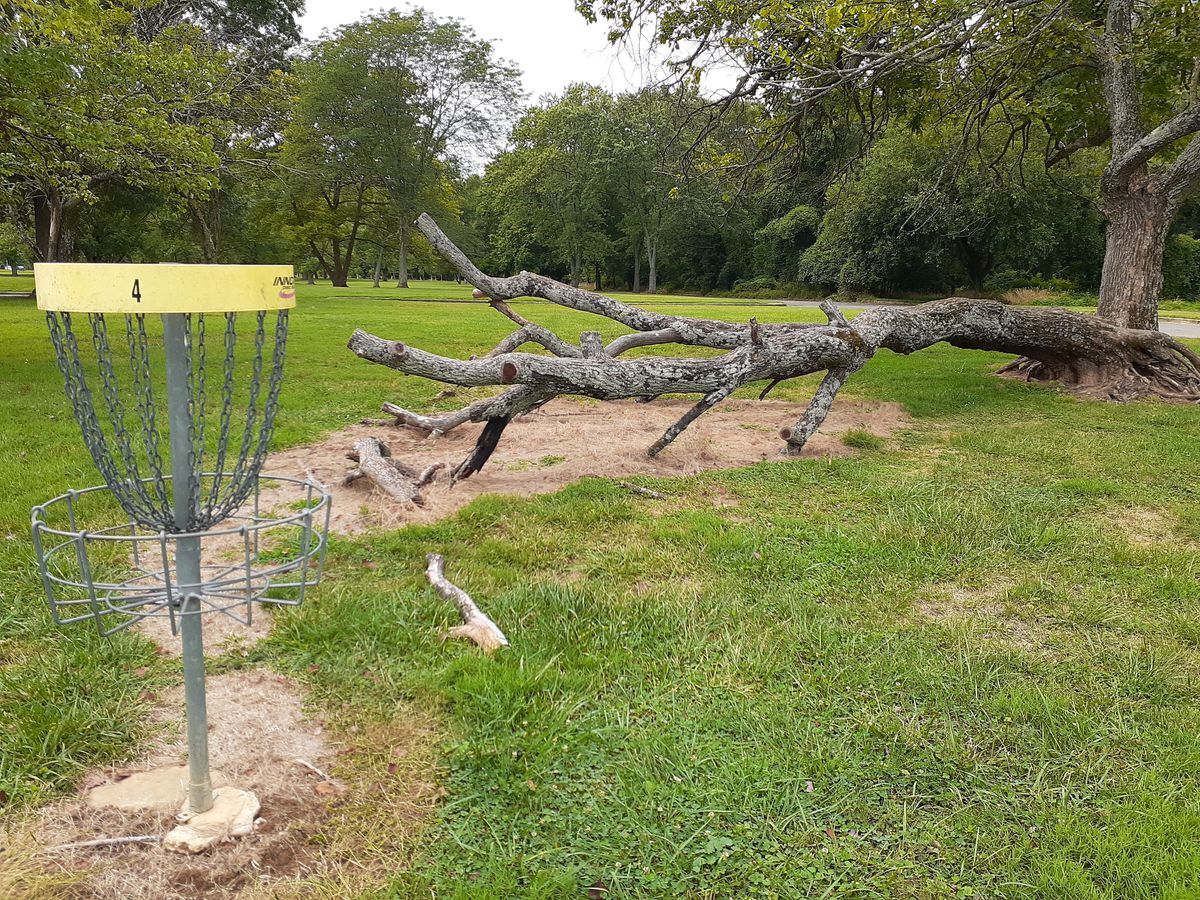 Hole 3 basket (number is wrong)