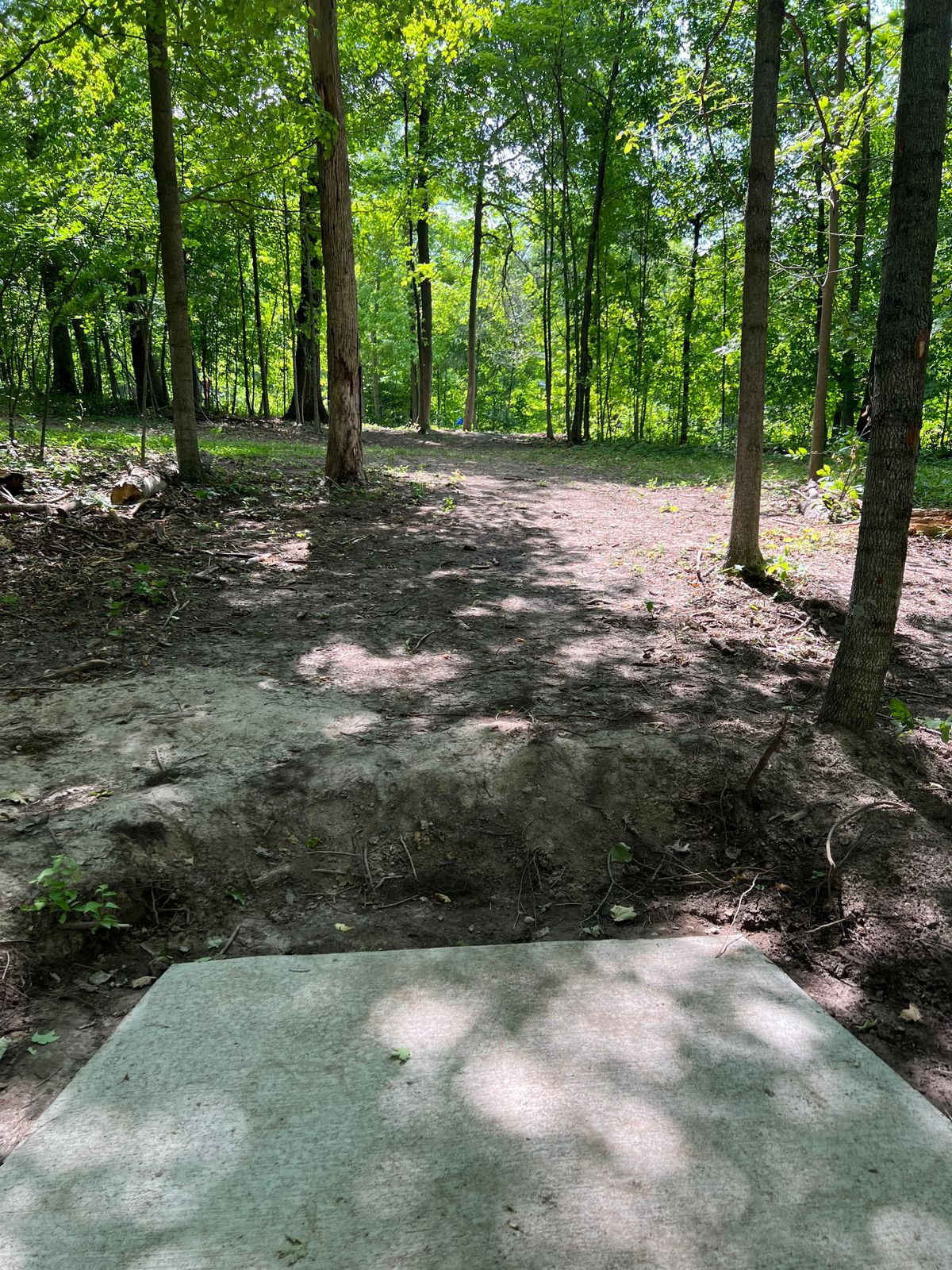 Hole 12 from tee pad.