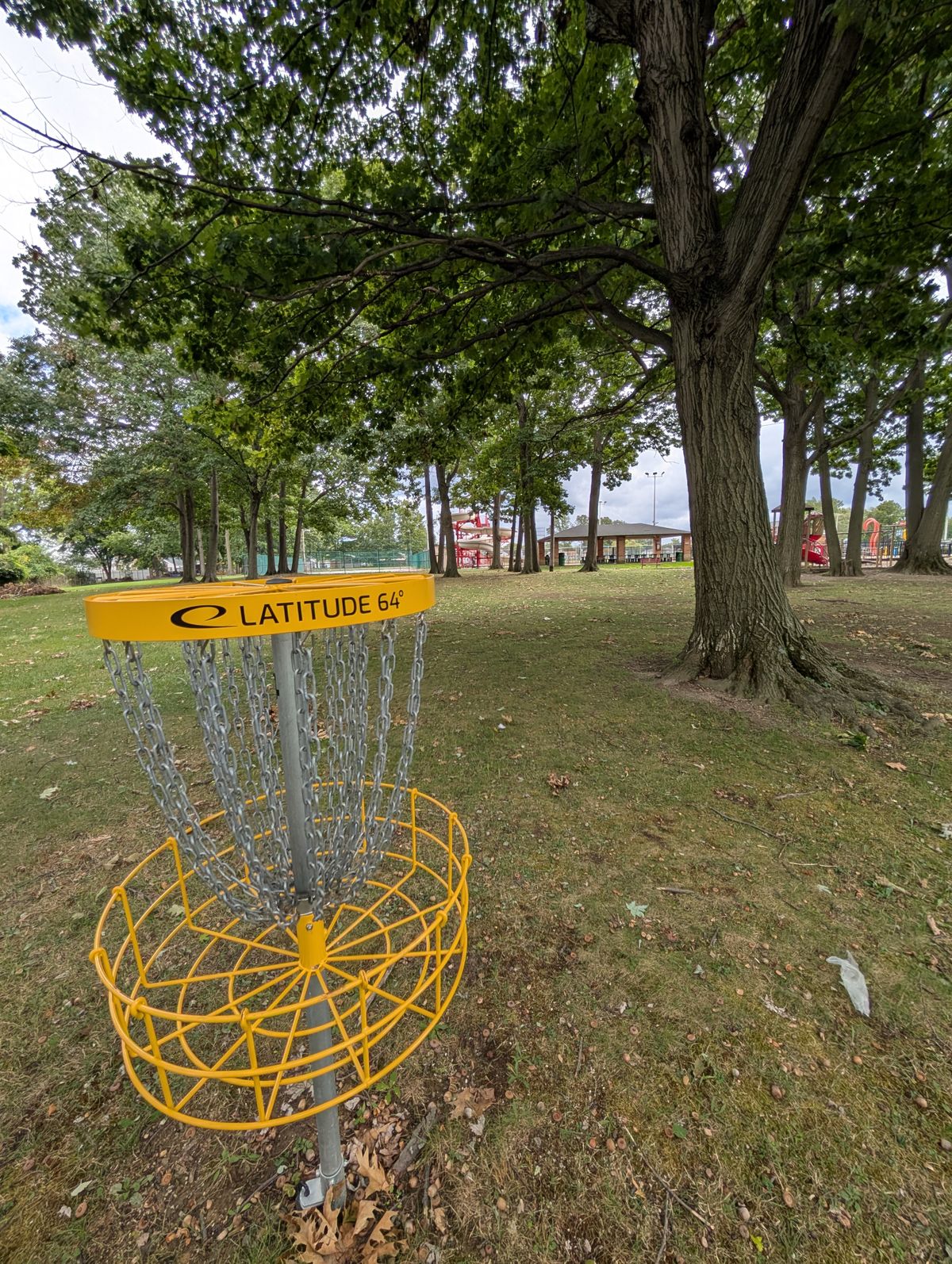 #4 basket back towards tee. Tee between trees by red slide