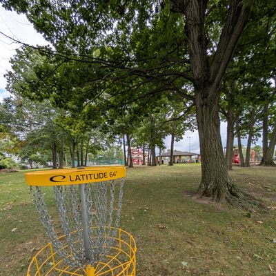 #4 basket back towards tee. Tee between trees by red slide