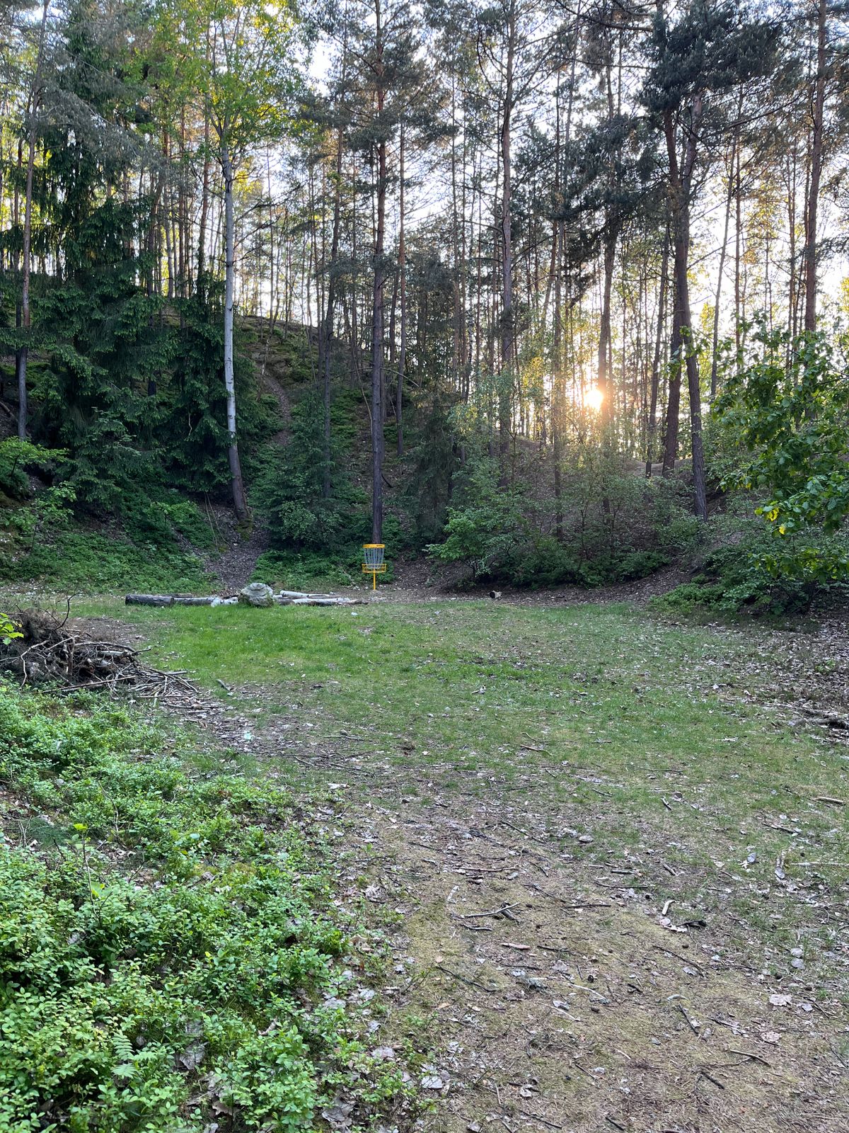 Koš jamky 6