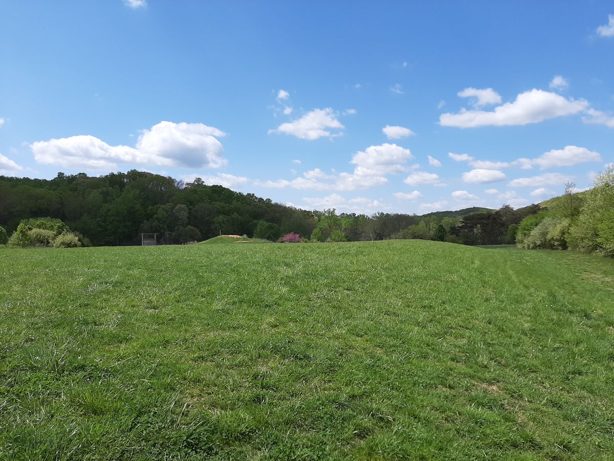 The first and 9th tee in the distance.