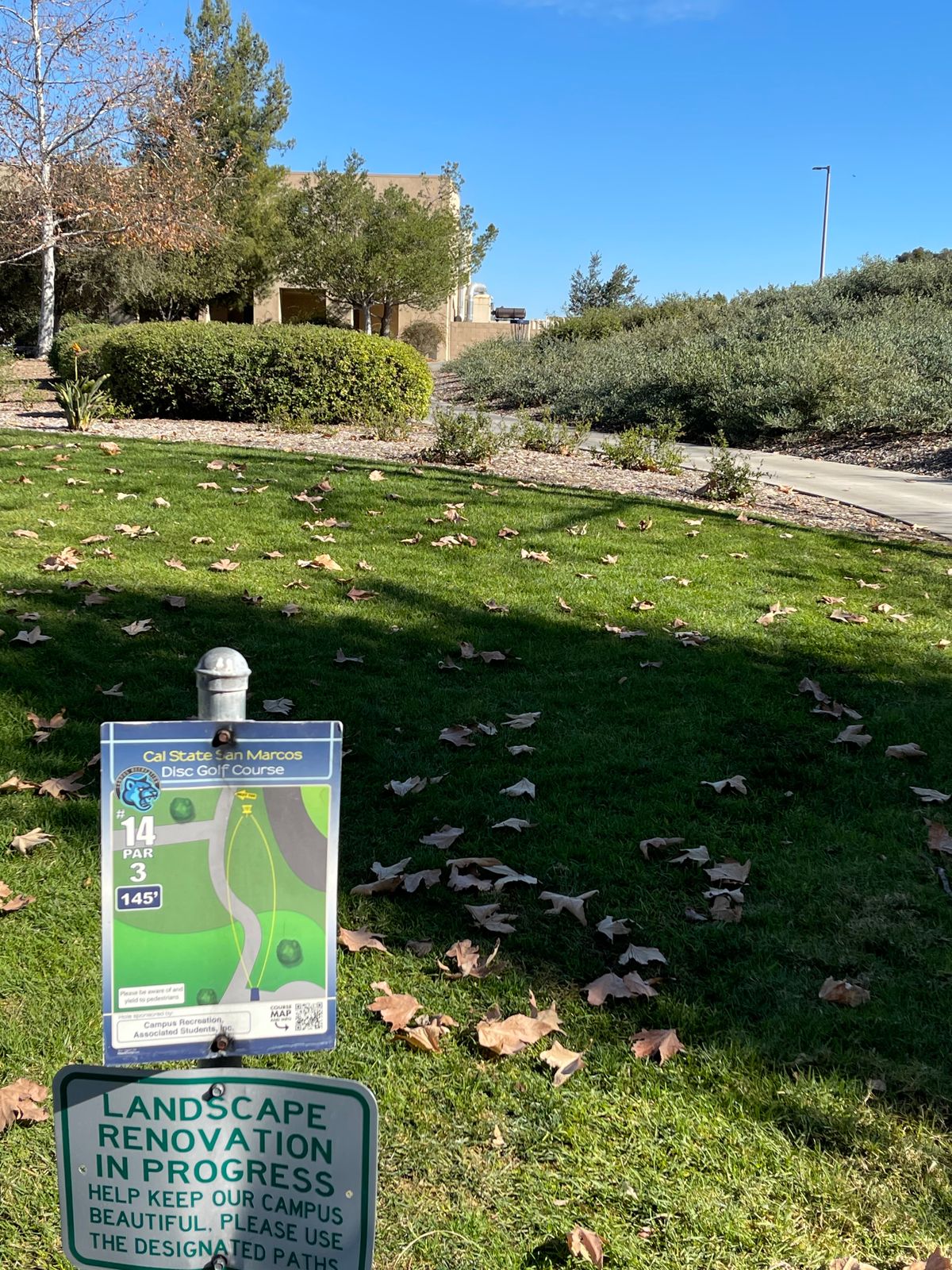 Hole 14