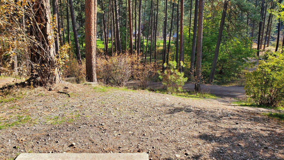 Tee pad hole 13