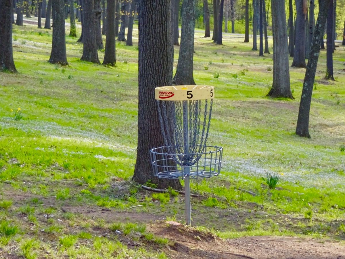 Hole 5A/B basket from the front