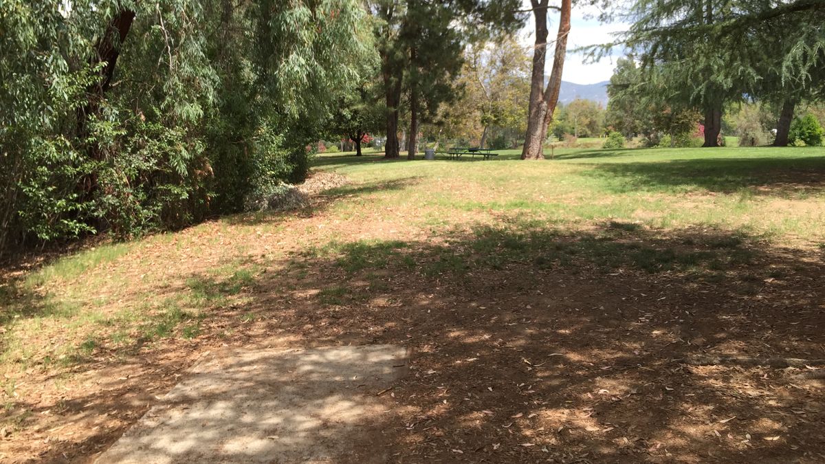 Hole 8