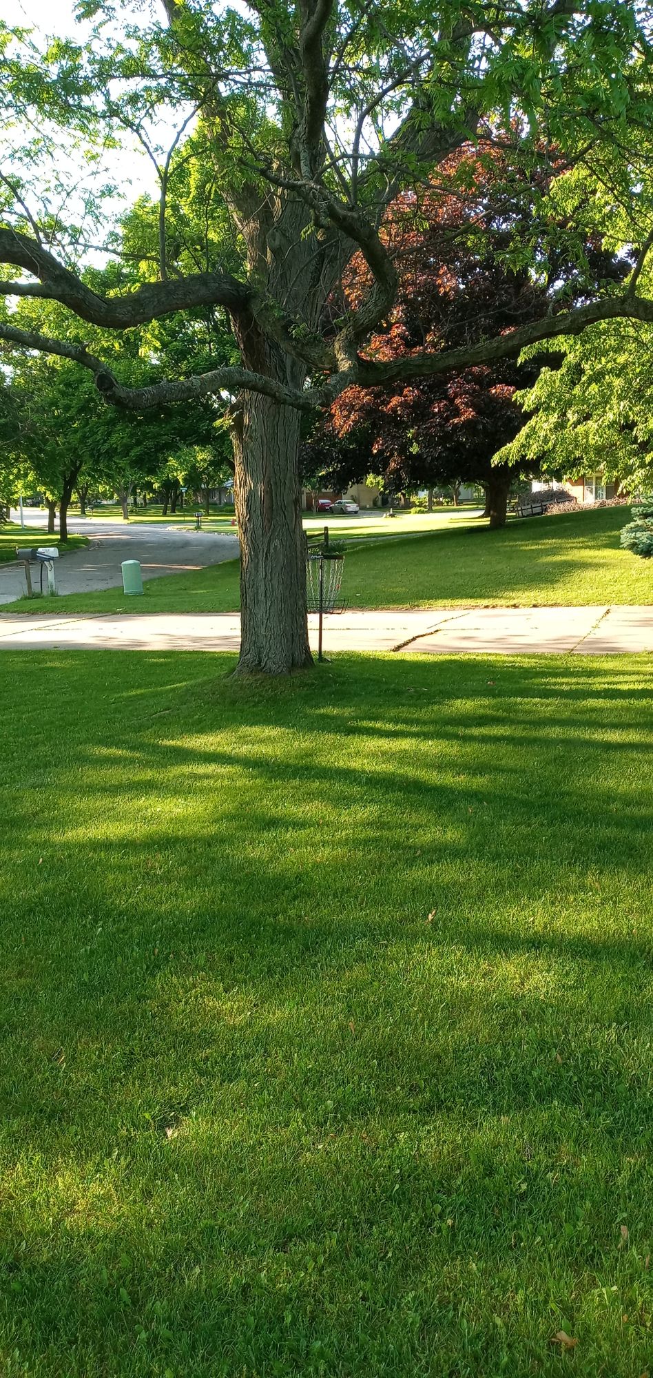 Hole 11