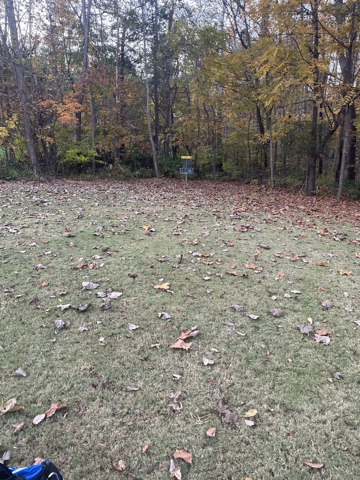 Banged this put on hole4