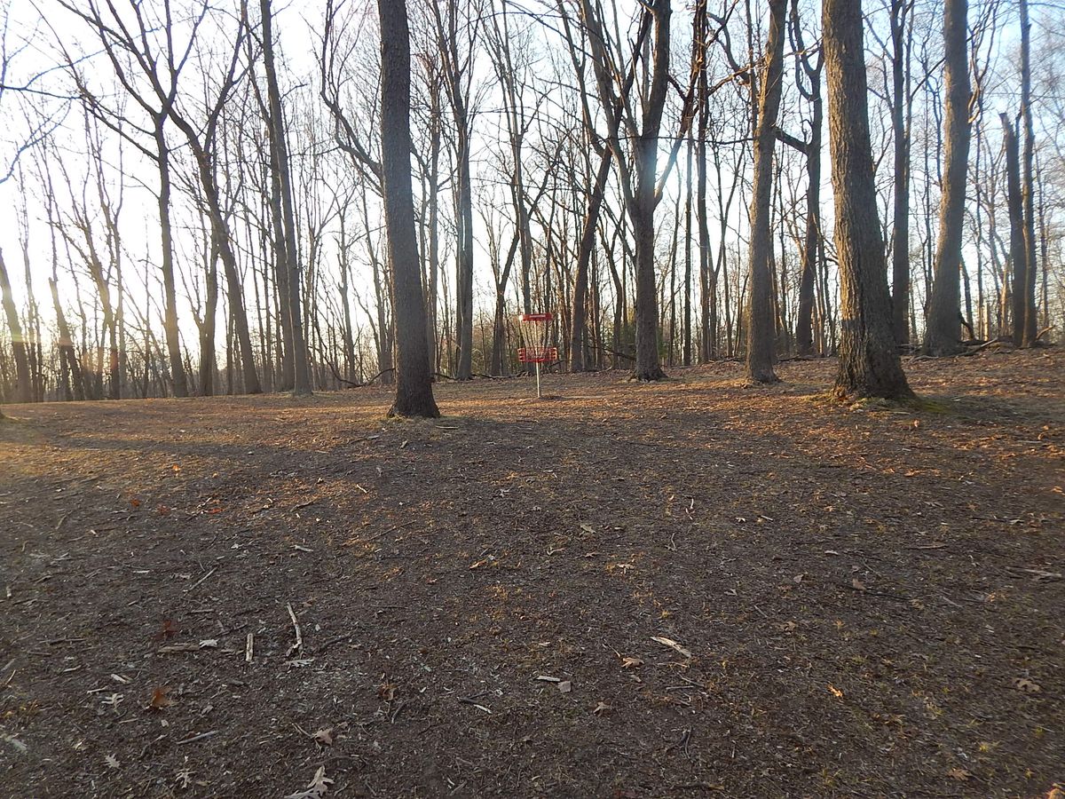 Hole 17 basket