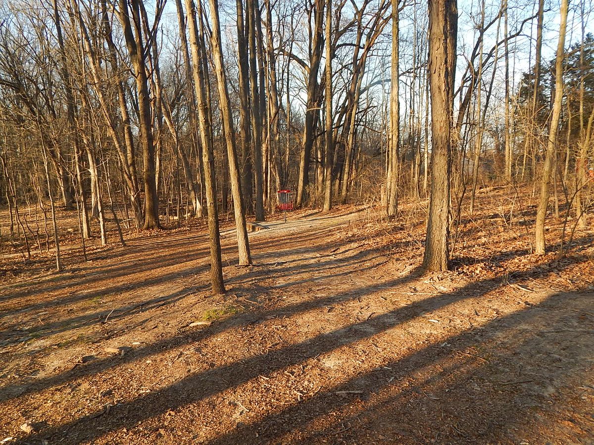 Hole 6 basket