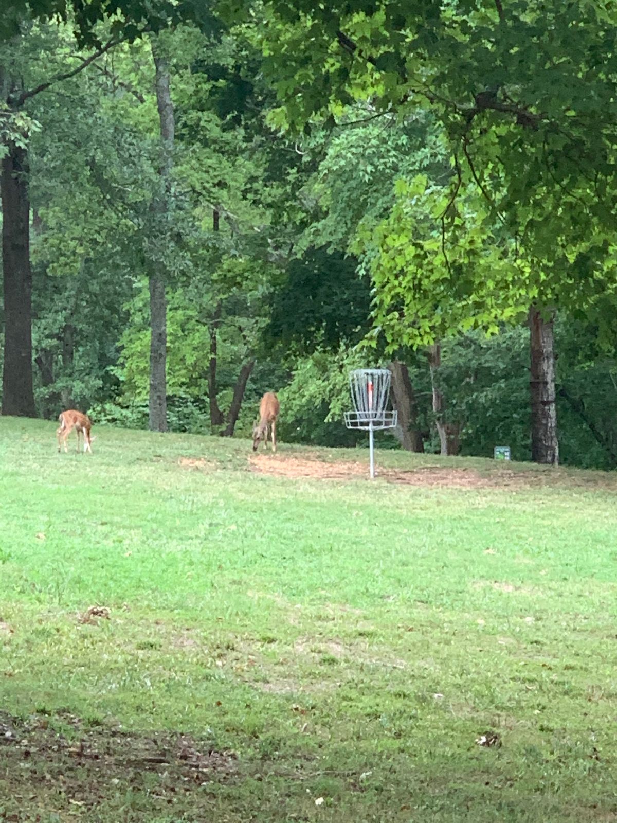 Hole 2