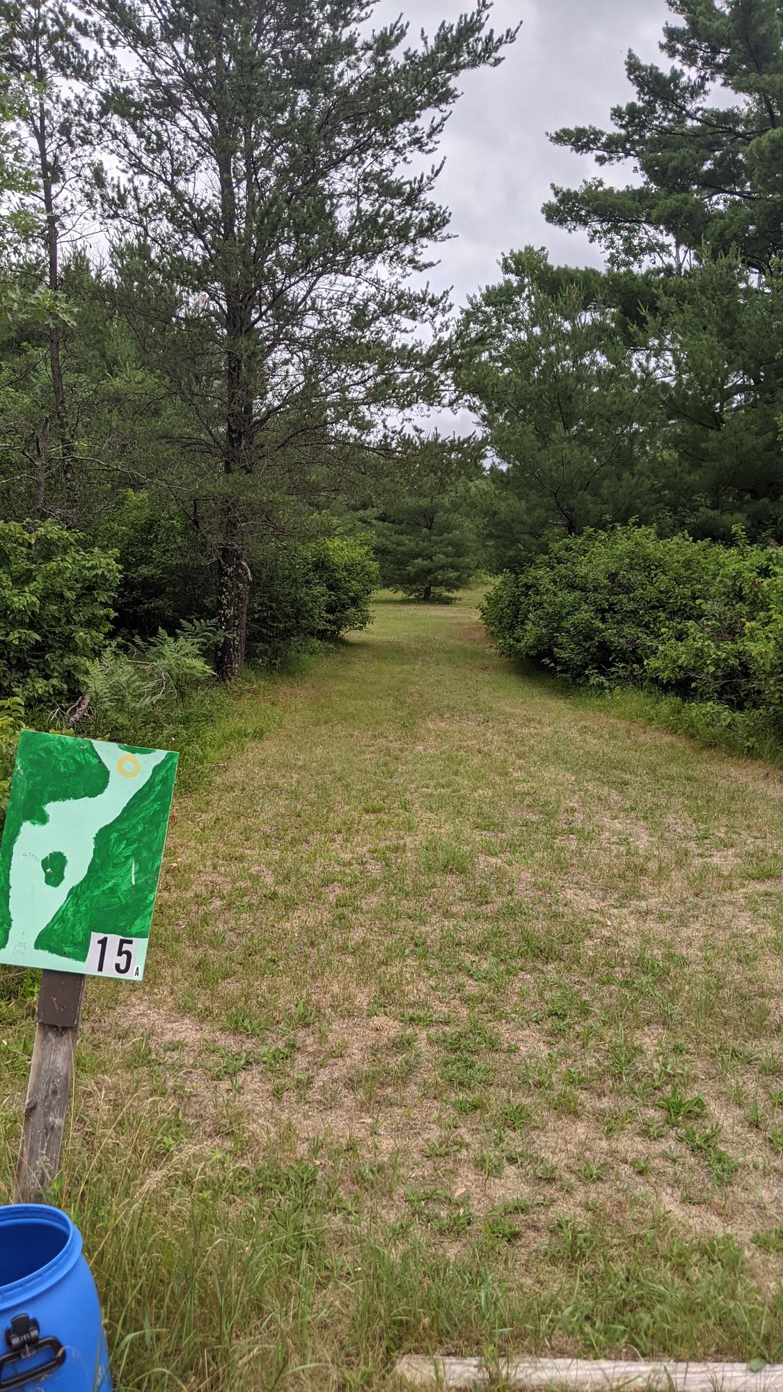 15a