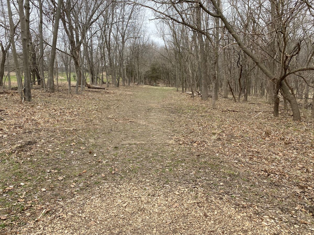 Hole 4 teepad 4/12/22