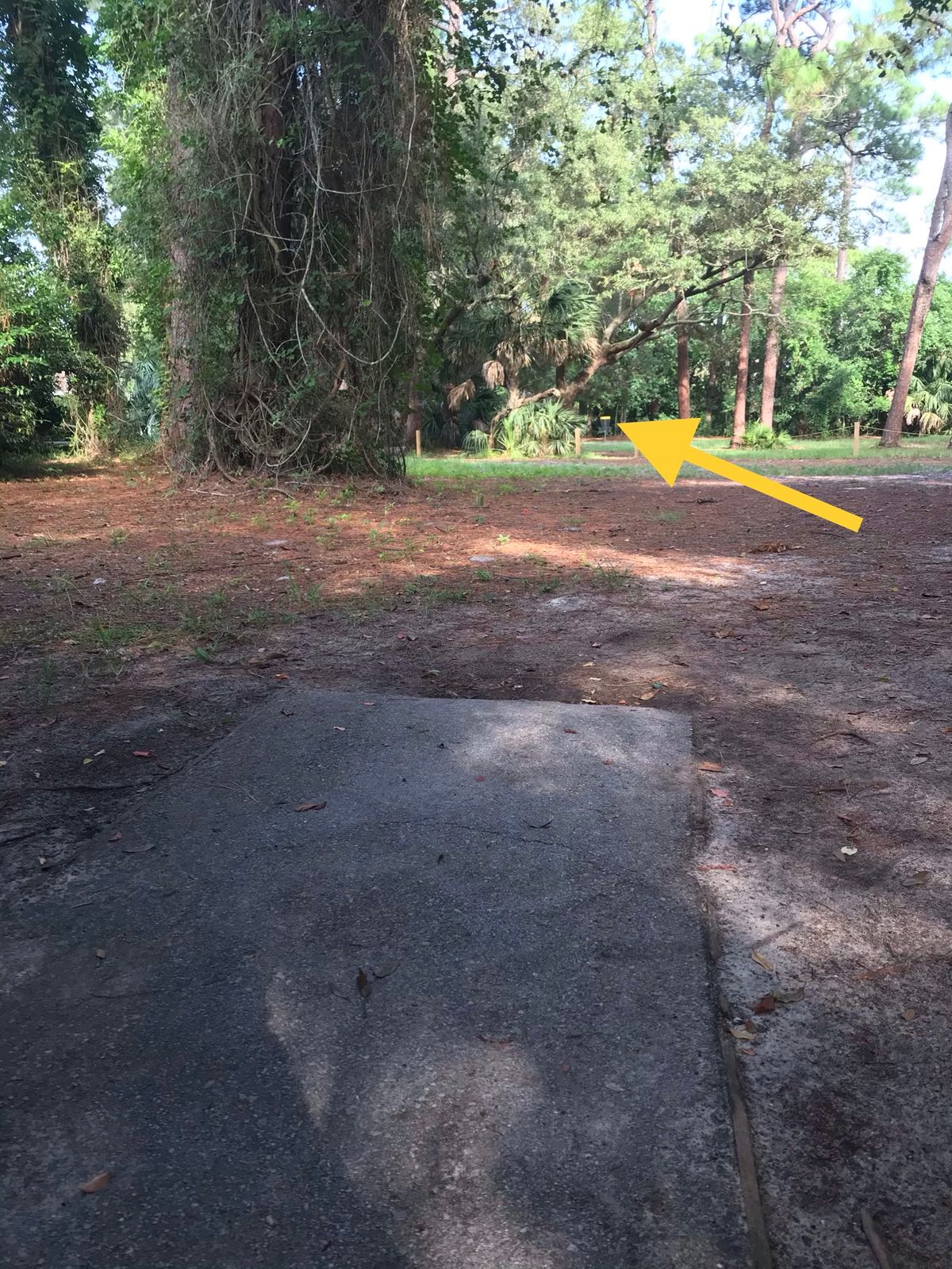 Amateur tee, 4th hole