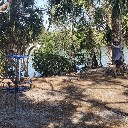 kingofswings