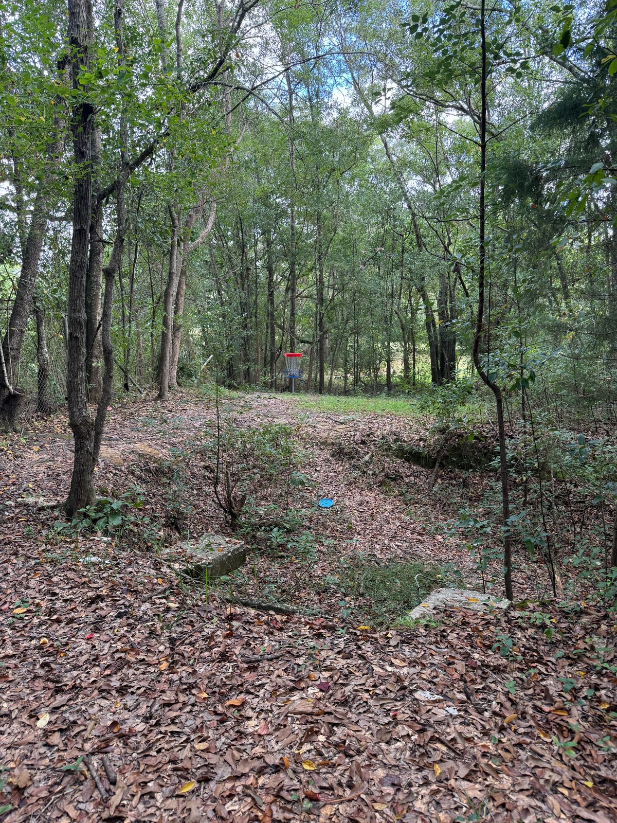Hole 9 approaching basket