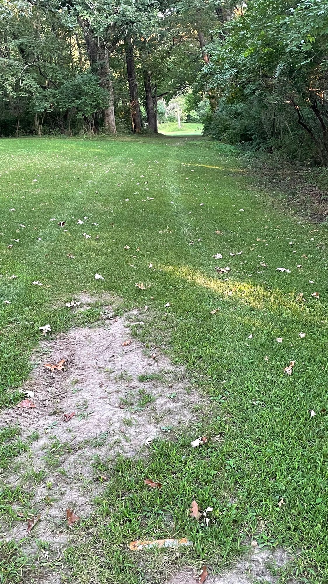 Hole 8  real nice tunnel shot into the open meadow