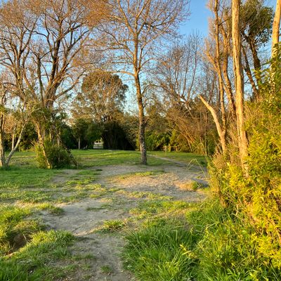 Tee 4 Mando to left of centre tree