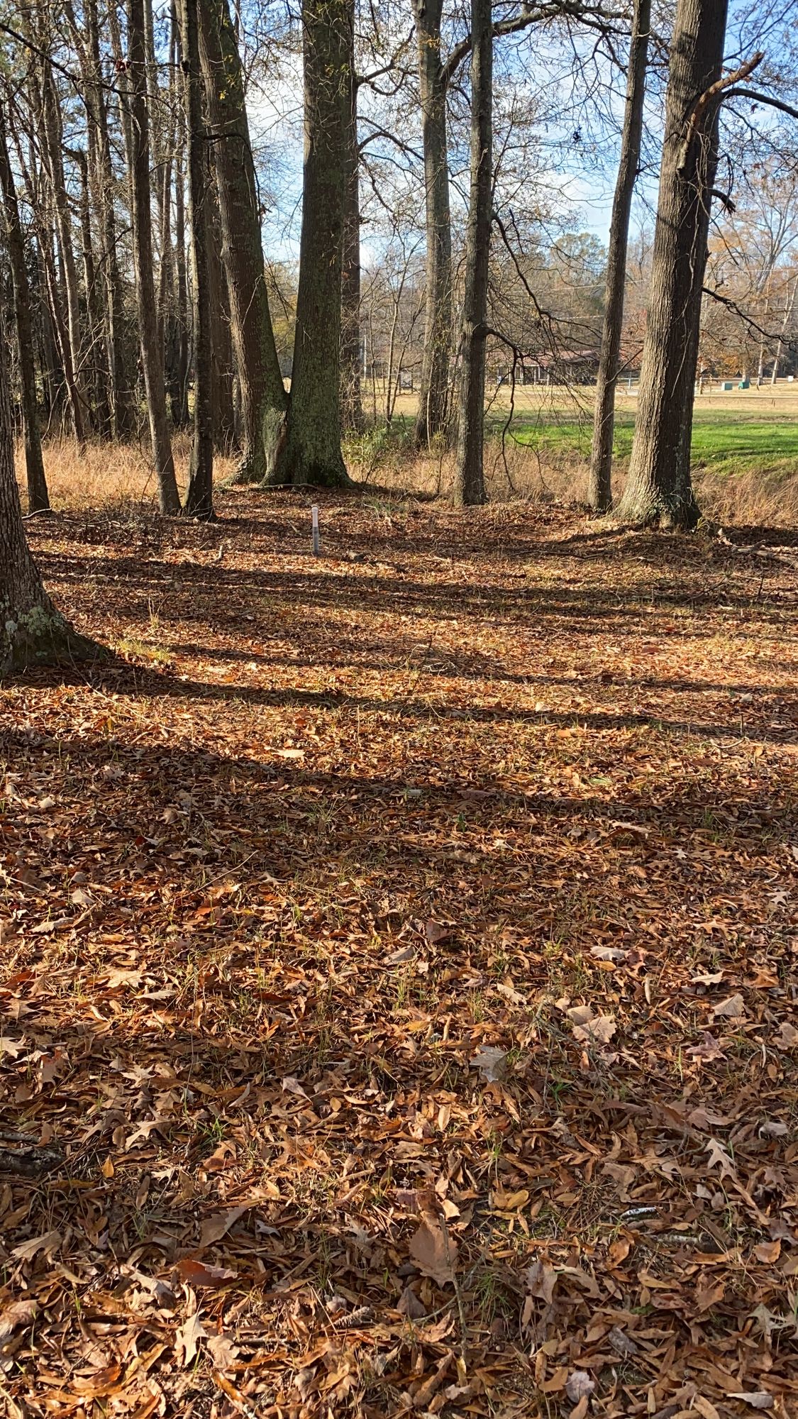 Hole 4 left pin location
