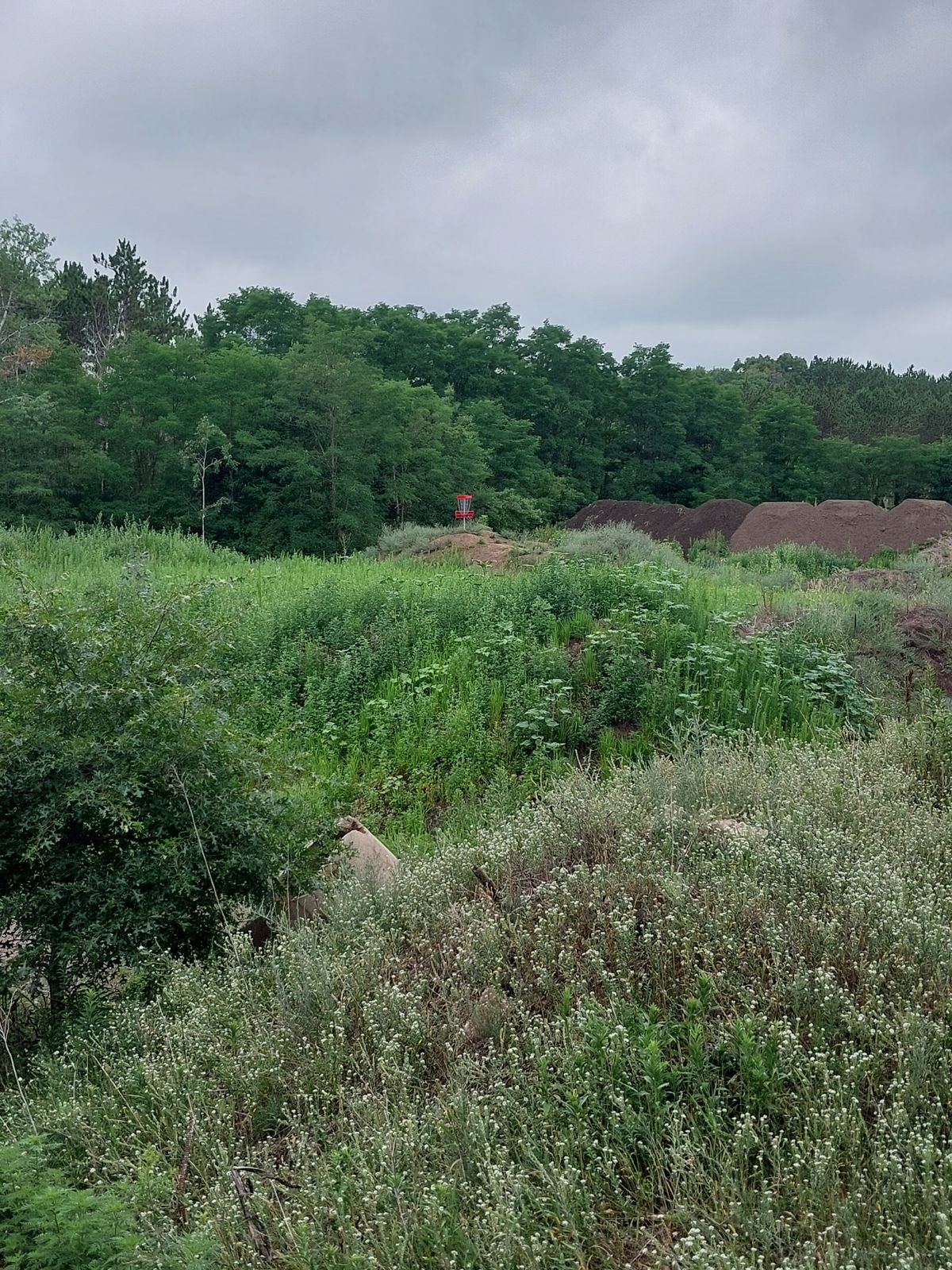 Hole 11