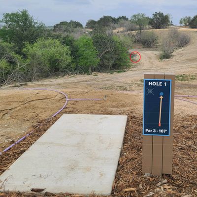 Tee box