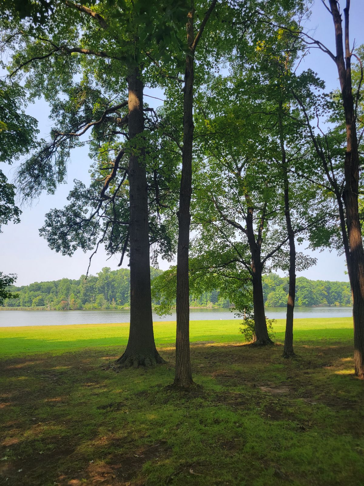 Clear view of the pond from the fairway.