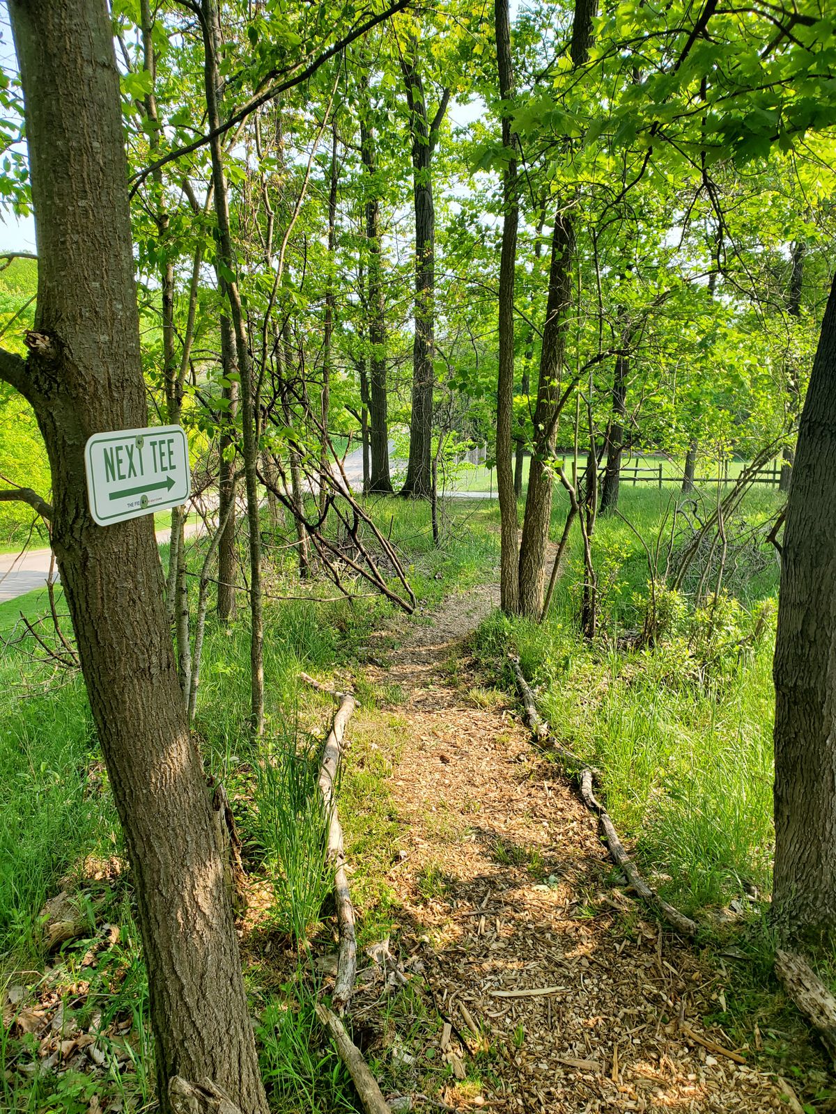 Path to Hole 1's tee