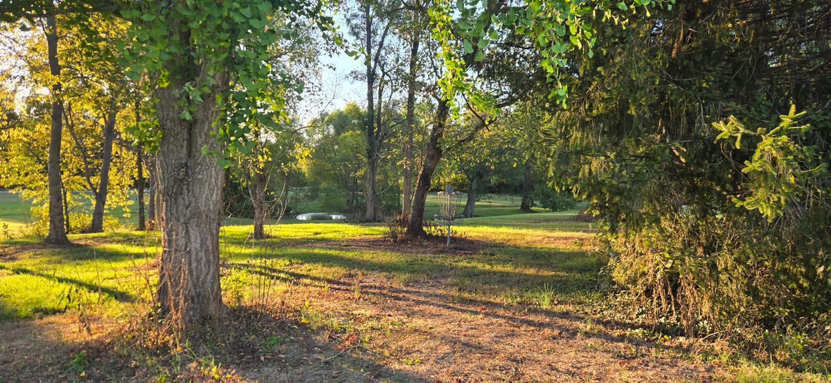 Baskets 5 (2025). Area around the basket was cleaned up by local Park and Rec Department a while back opening up new lines