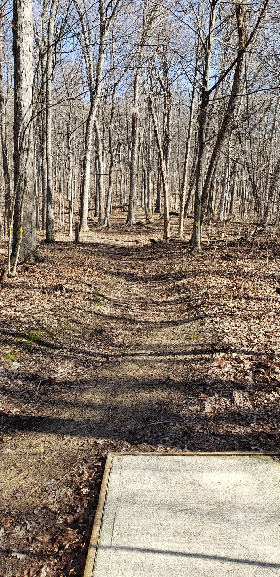 Hole 3