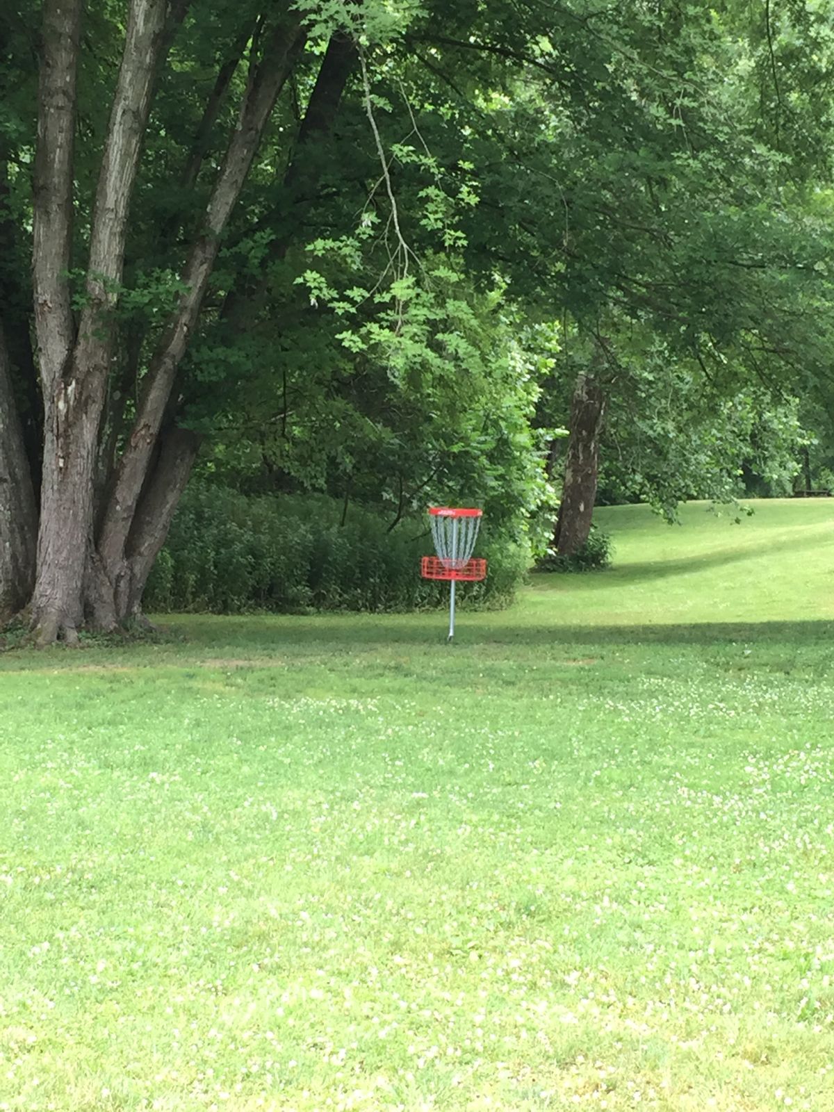 Hole #1