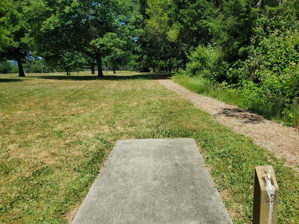 Hole 11