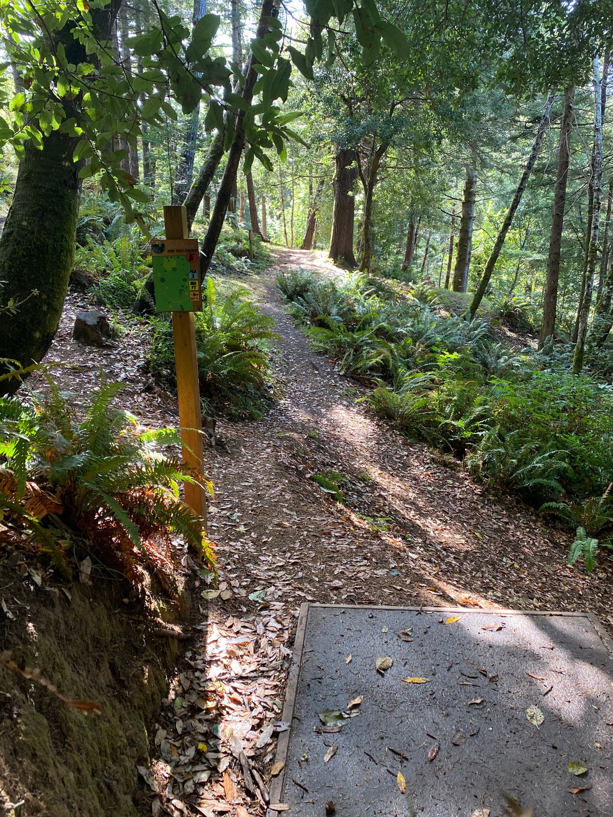 Hole 7