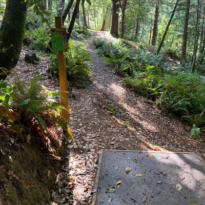 Hole 7