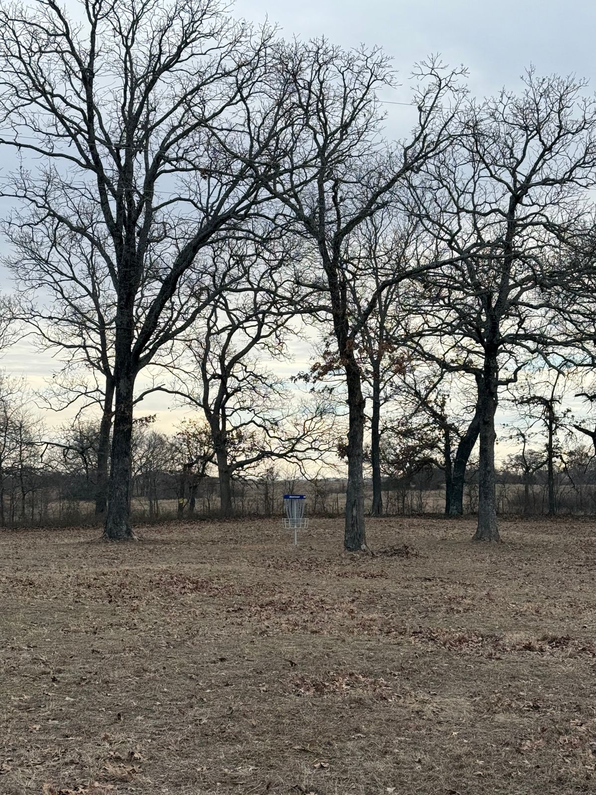 Hole 8 (Longs) Basket